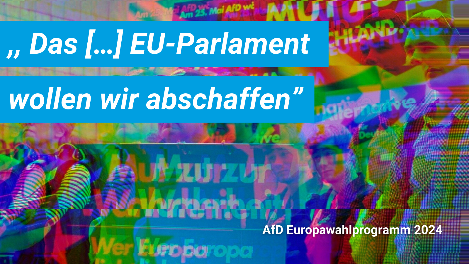 Europwahlprogramm Zitat - AfD Handreichung